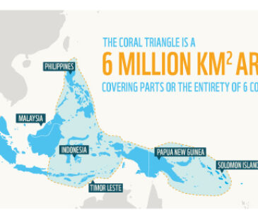 coral_triangle_covers_6_million_km2_area