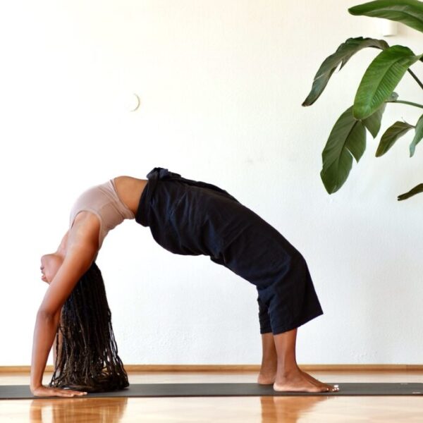 Deine Reise zur Rad-Haltung (Urdhva Dhanurasana)<br>Samstag, 13. Dezember 2025 <br>13:00 – 15:00 Manas Yoga Workshop: Deine Reise zur Radhaltung