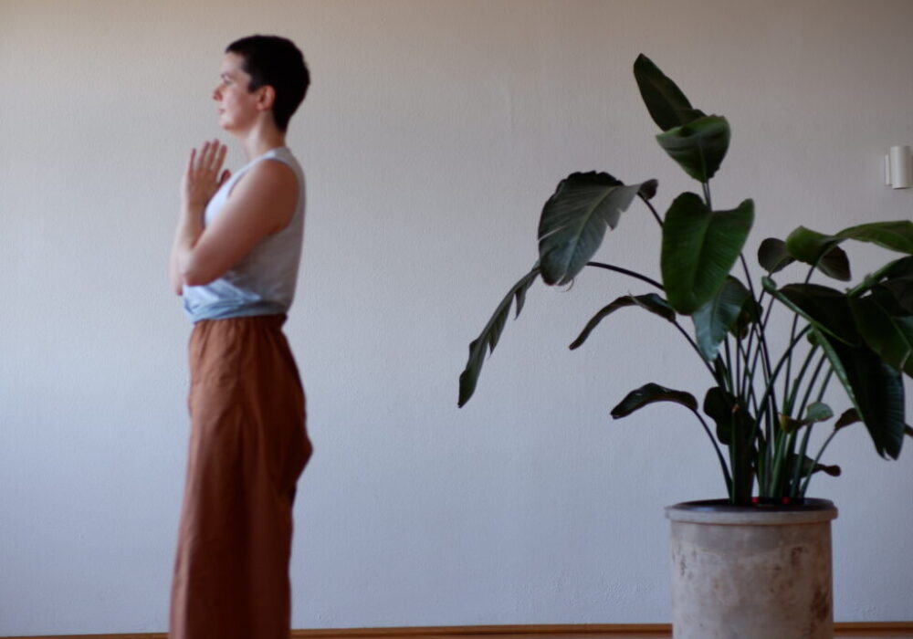 108 SUN SALUTATIONS<br> Sunday, December 21, 2025 & <br>Thursday, January 1, 2026 <br>12:00-14:00 each event<br><br>Release the Past. Embrace the Future. Transform with Every Flow.<br><br> 108 SUN SALUTATIONS at Manas Yoga