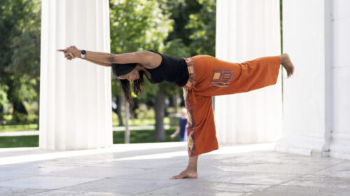 Manas Yoga 50-hour yoga philosophy history ethics teacher training