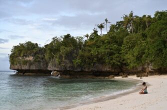 Manas Yoga Blog: Yoga als heiliger Widerstand: Aktivismus durch alte Weisheit verweben