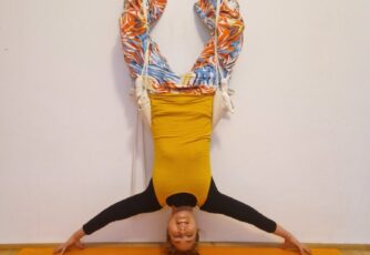 Manas Yoga SEIL Workshop