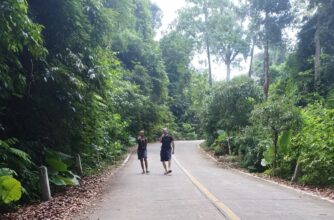 Manas Yoga Blog: Über die Liebe