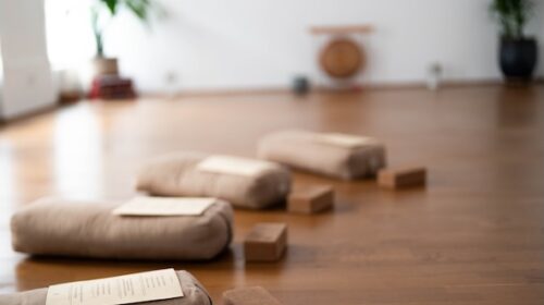 Manas Yoga 50-hour yoga philosophy history ethics teacher training